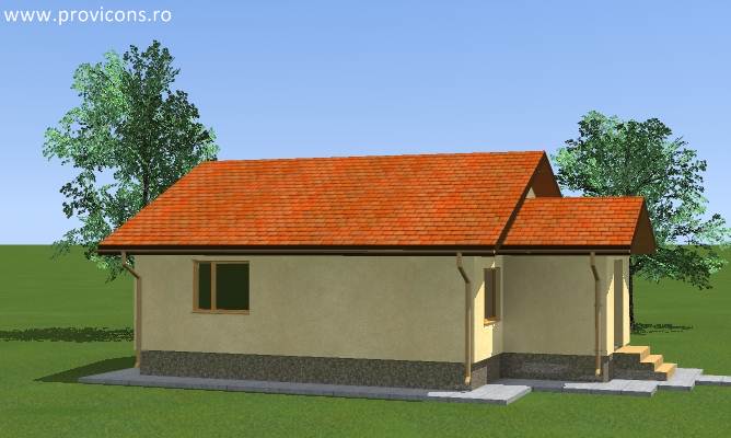 -model-de-casa-deosebita-tucker1