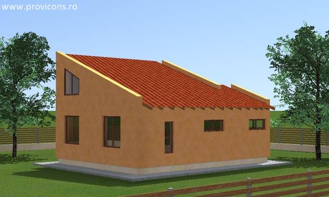 casa-perspectiva-casa-din-lemn-arad-flint