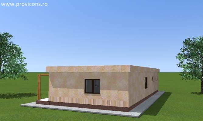 perspectiva2-casa-din-lemn-sfantu-gheorghe-baldovin3