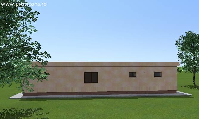 perspectiva3-casa-din-lemn-sfantu-gheorghe-baldovin3