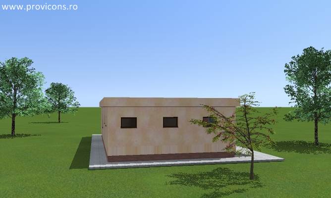 -casa-din-lemn-sfantu-gheorghe-baldovin3