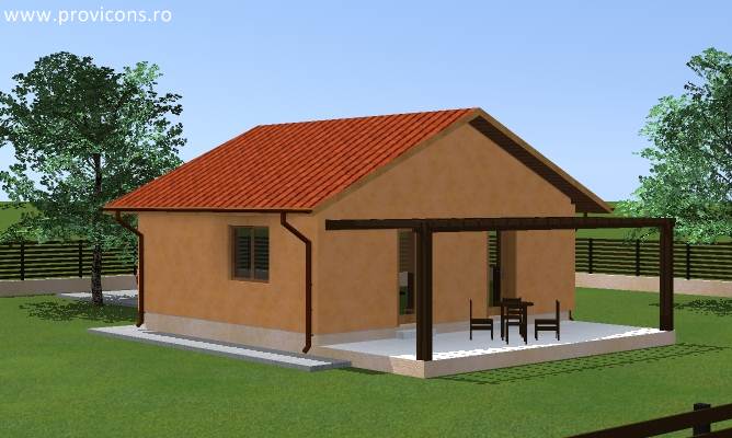 perspectiva3-casa-din-lemn-si-piatra-aissa3