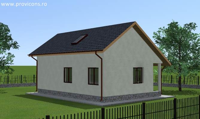 casa-perspectiva-casa-lemn-neamt-gale2