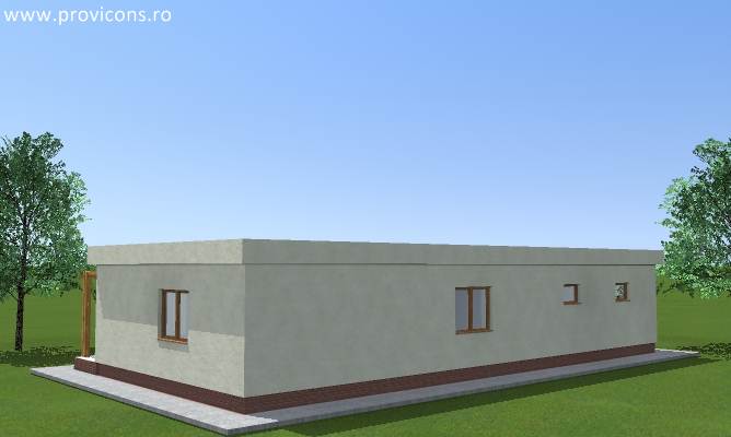 perspectiva3-model-de-proiect-darcie5