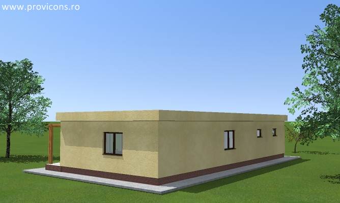 perspectiva2-model-de-proiect-darius5