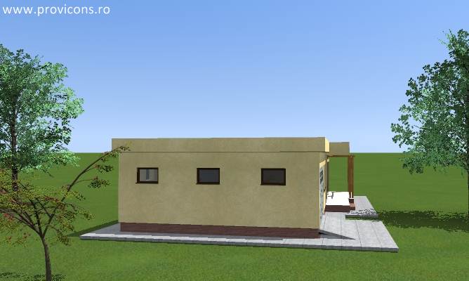 -model-de-proiect-darius5