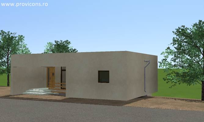 perspectiva3-proiect-casa-cu-subsol-ellison5
