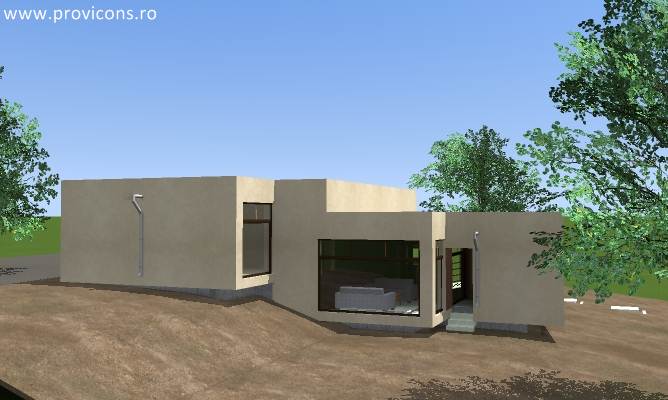 -proiect-casa-cu-subsol-ellison5