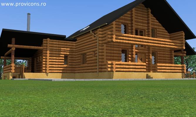 perspectiva1-proiect-casa-timisoara-feodosiy5