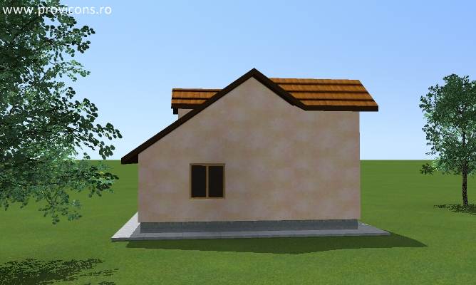 perspectiva3-proiect-casa-unifamiliala-ficus5