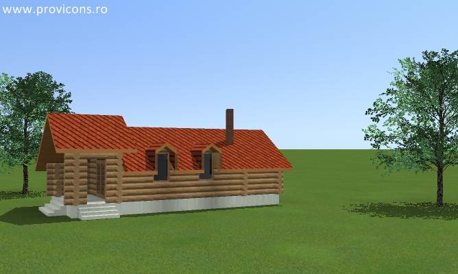 -proiect-de-casa-europeana-flavian5