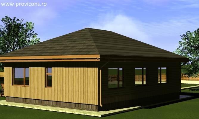 perspectiva3-constructii-casa-parter-denis4